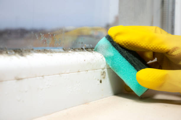 Best Emergency Mold Removal  in Hummelstown, PA
